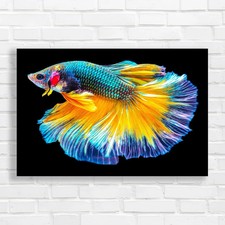 Vibrant siamese fighting - vibrant,