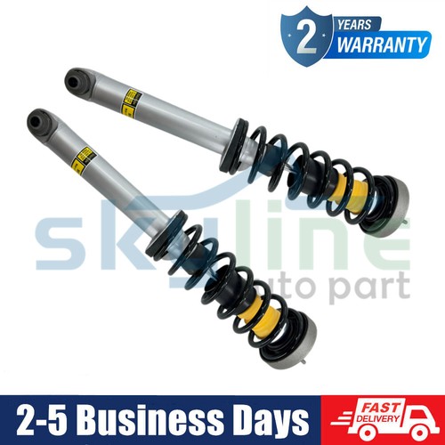 Rear shock absorber struts - shock,