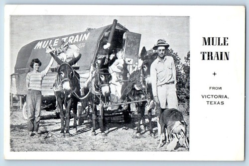 Victoria texas postcard mule - victoria,