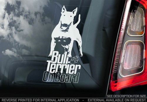 English bull terrier car - terrier,