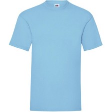 Fruit the loom shirt - fruit,