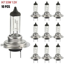 H7 Bulbs 477 499 12v 55W PX26d
