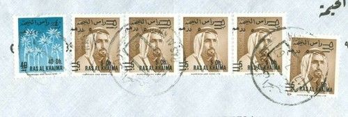 Uae ras khaima palm - palm, tree