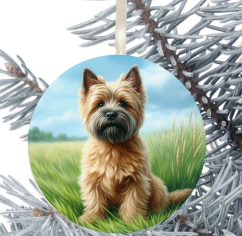 Cairn terrier dog hanging - dog,