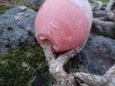 Hard Plastic Buoy float Pink Nautical Marine Prop