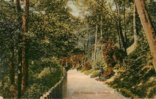 EXMOUTH THE PLANTATION -