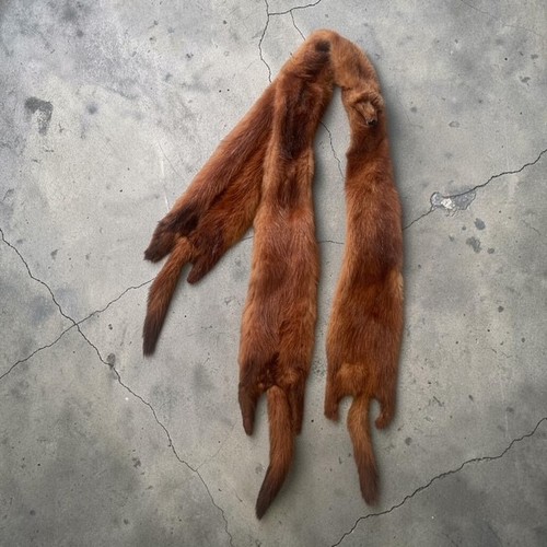 Vintage 1940s three skin - 1940s,