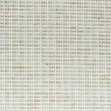 Schumacher Wallpaper x 2 Rolls