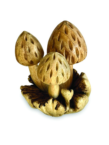 Strawberry bali mushrooms - strawberry,