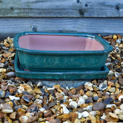 Bonsai pot and tray ceramic - pot,