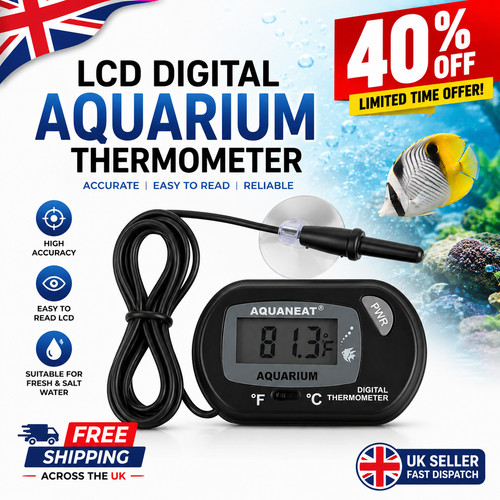 Lcd digital thermometer - digital,