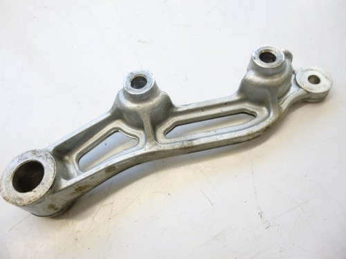 Rear brake caliper support