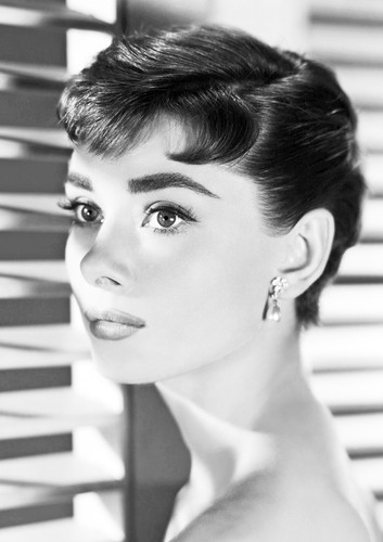 Audrey hepburn monochrome - audrey,