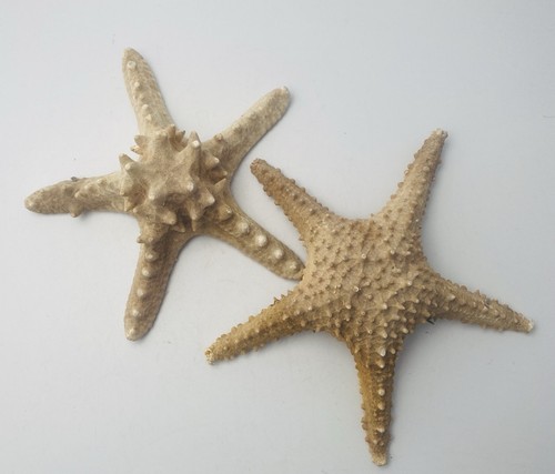 Vintage decorative knobbly - vintage,