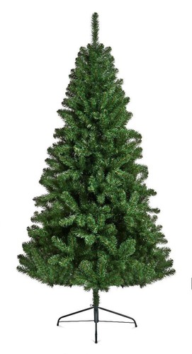 Premier northcote pine - northcote,