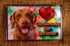 Chesapeake Bay Retriever Gift