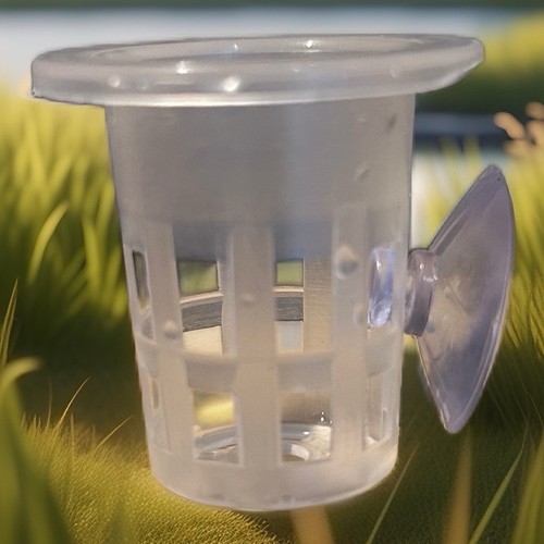 Aquarium plant holder - plant,