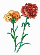 MACHINE EMBROIDERY DESIGNS USB