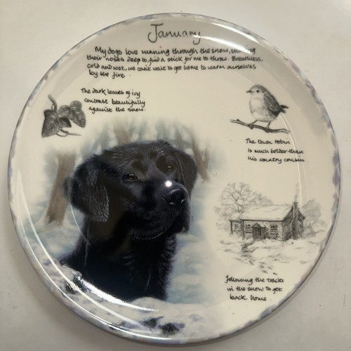 Wedgwood bone china danbury - bone,