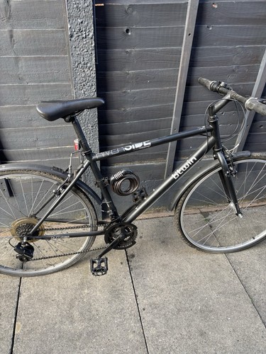 Twin riverside mountain bike - riverside,