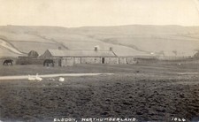ELSDON NEAR OTTERBURN