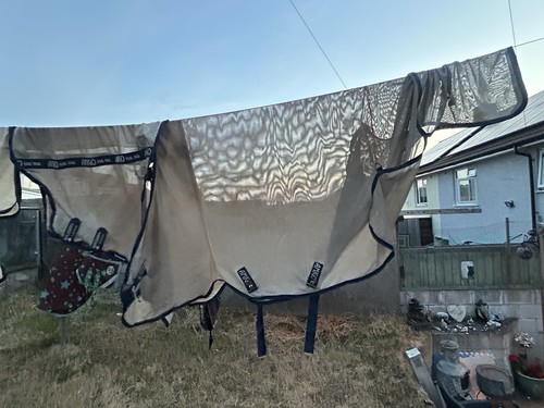 Amigo bug rug combo - amigo,