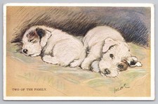 Two of the Family Wire Fox