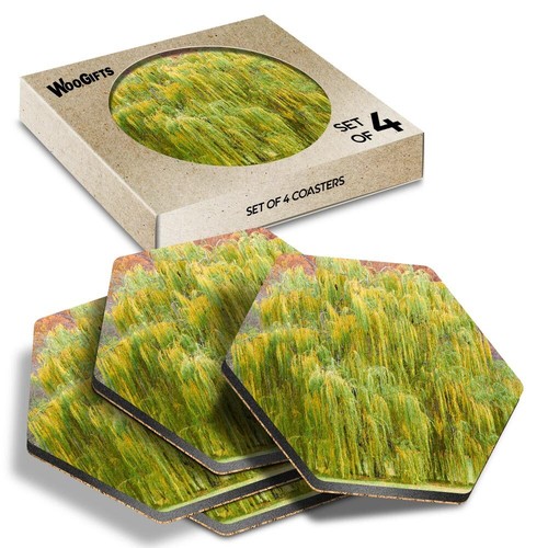 Hexagon mdf coaster weeping - hexagon,