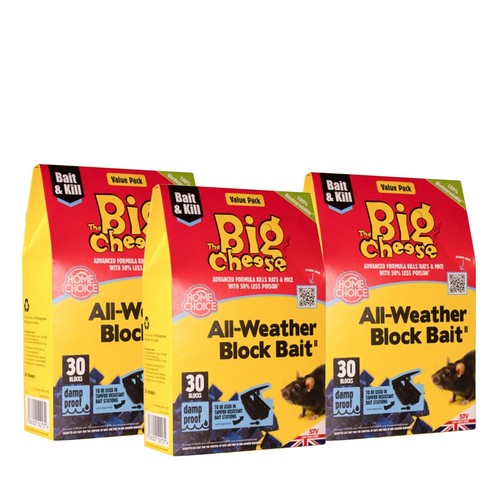 The big cheese all - big,