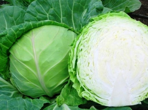 200 early white - х,