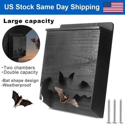 Large bat house - bat, chamber