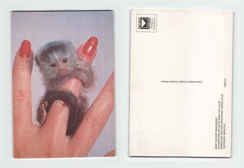 Postcard baby silvery - postcard,