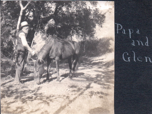 Photograph horse james coke - photograph,