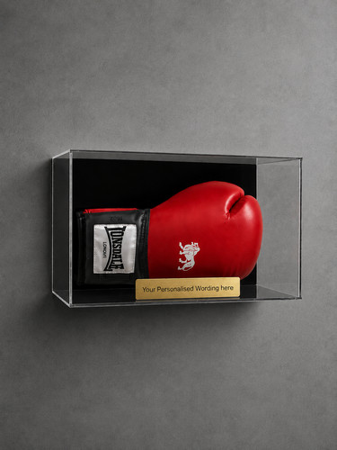 Boxing glove landscape wall - landscape,