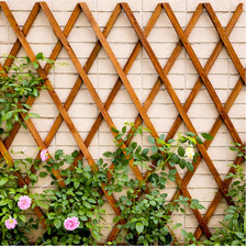 6ft wooden garden trellis - wooden,