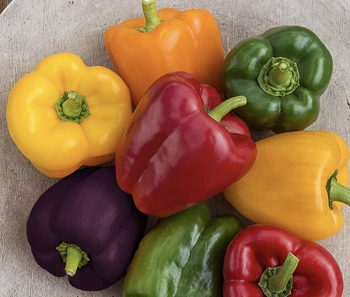 Sweet pepper x12 - pepper,