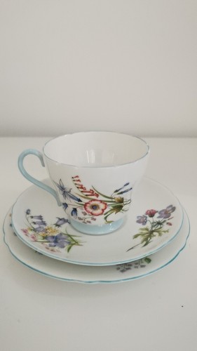 Shelley fine bone china wild - shelley,