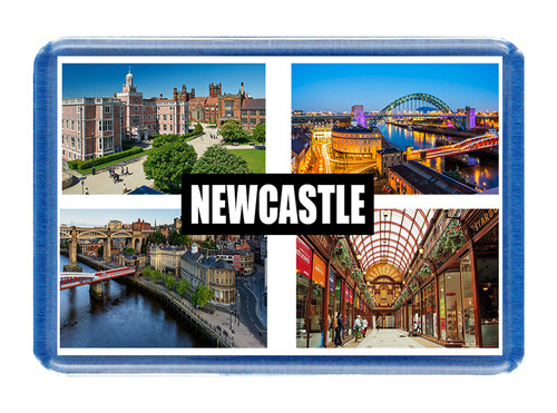 Newcastle fridge magnet - fridge,