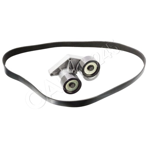 Ribbed belt set - febi, fits
