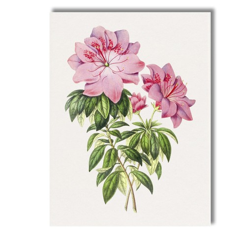 Canvas wall art decor - canvas, picture