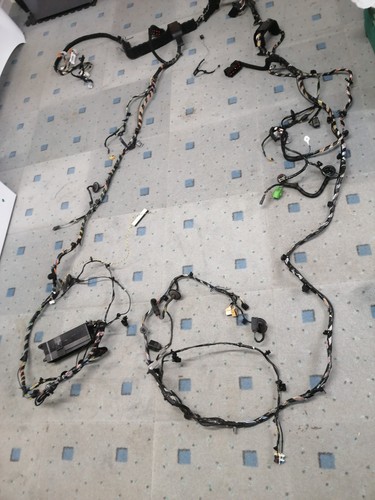Ford focus floor harness - focus,