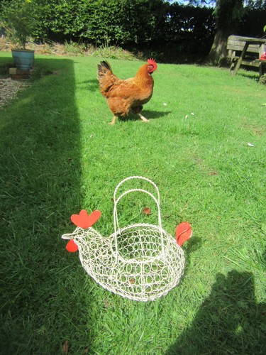 Cream wire chicken shape egg - cream,