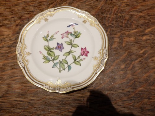 Spode stafford flowers china - spode,