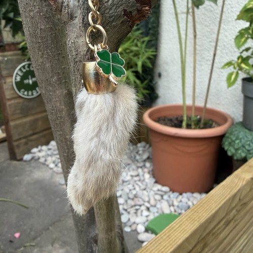 Real lucky rabbits - lucky, foot