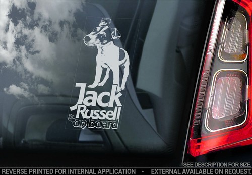 Jack russel terrier - russel,
