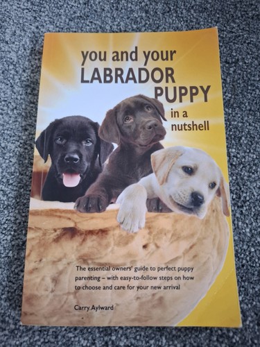 You and your - you, labrador