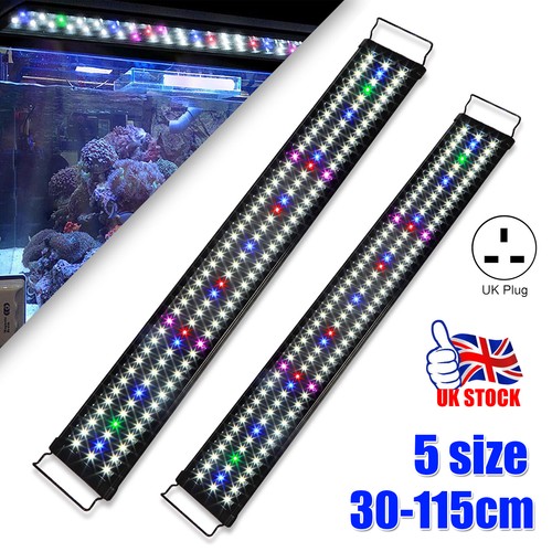 Aquarium fish tank - aquarium,
