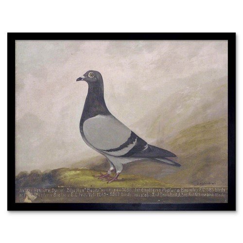 Painting animal pigeon - painting, dove