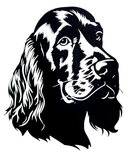 English spaniel cocker - english,