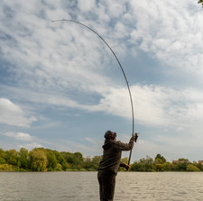 OMC Black Pearl Rods (All